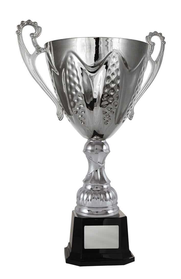 Bordeaux Cup