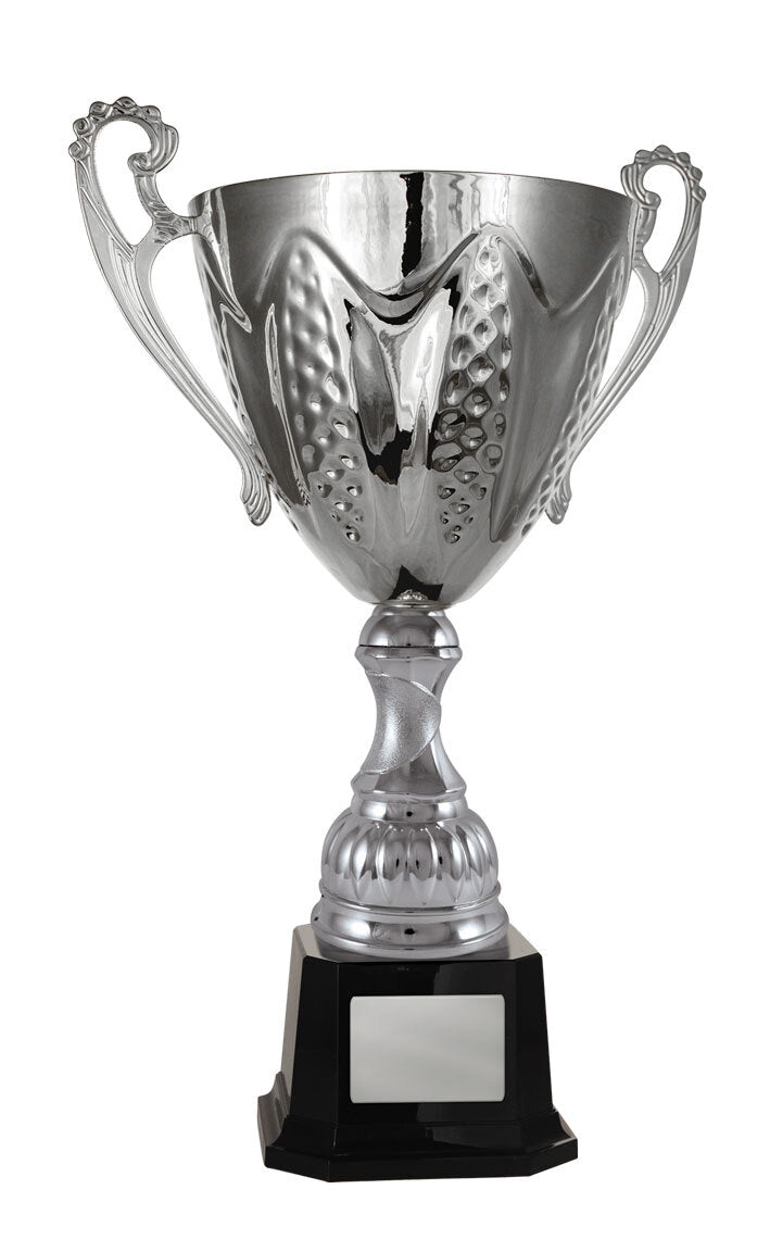 Bordeaux Cup