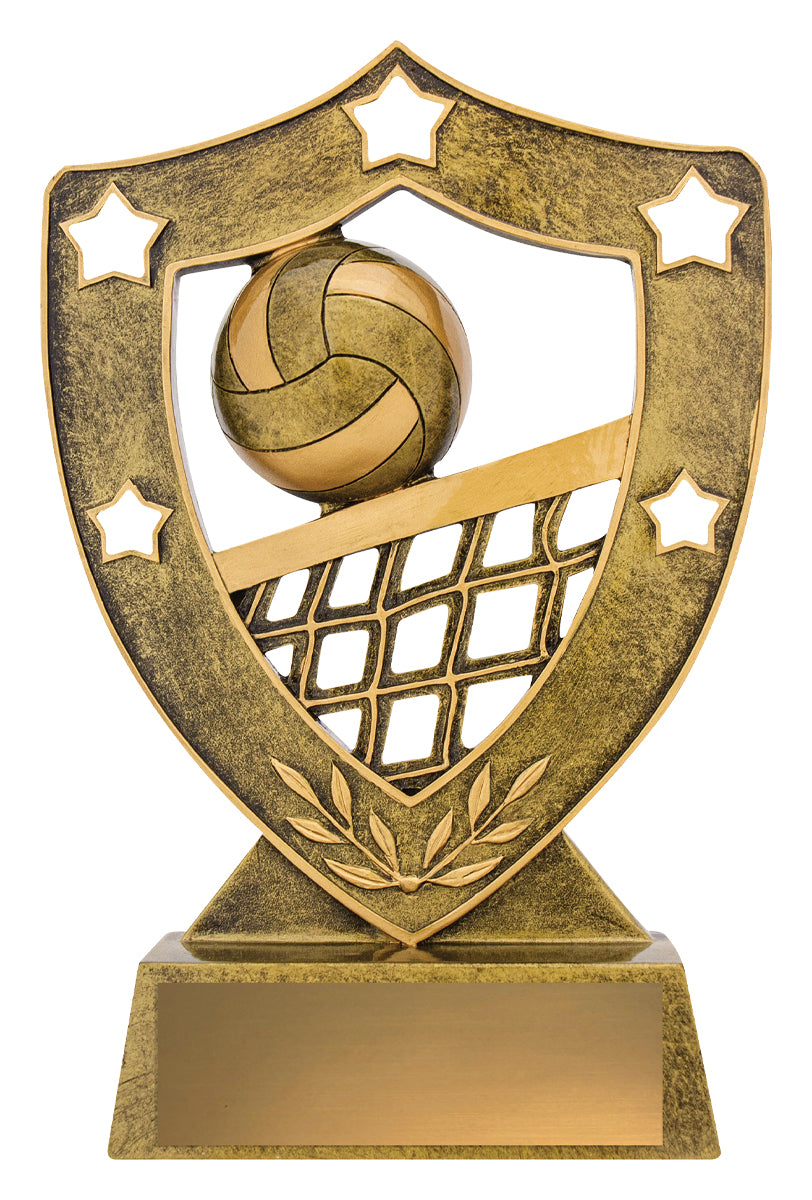Volleyball Gold Shield 210mm