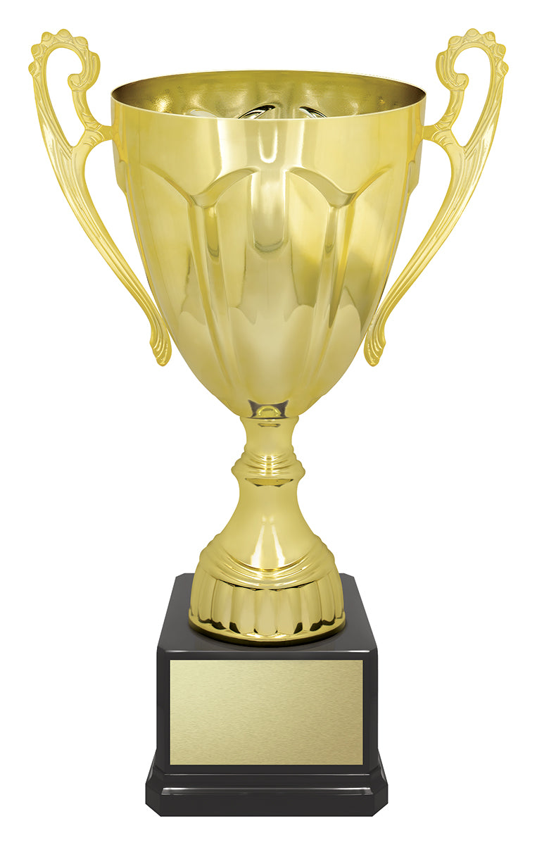 Rubicon Gold Cup 255mm