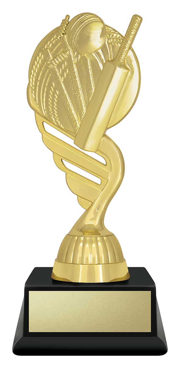 Budget Gold - Cricket 160mm