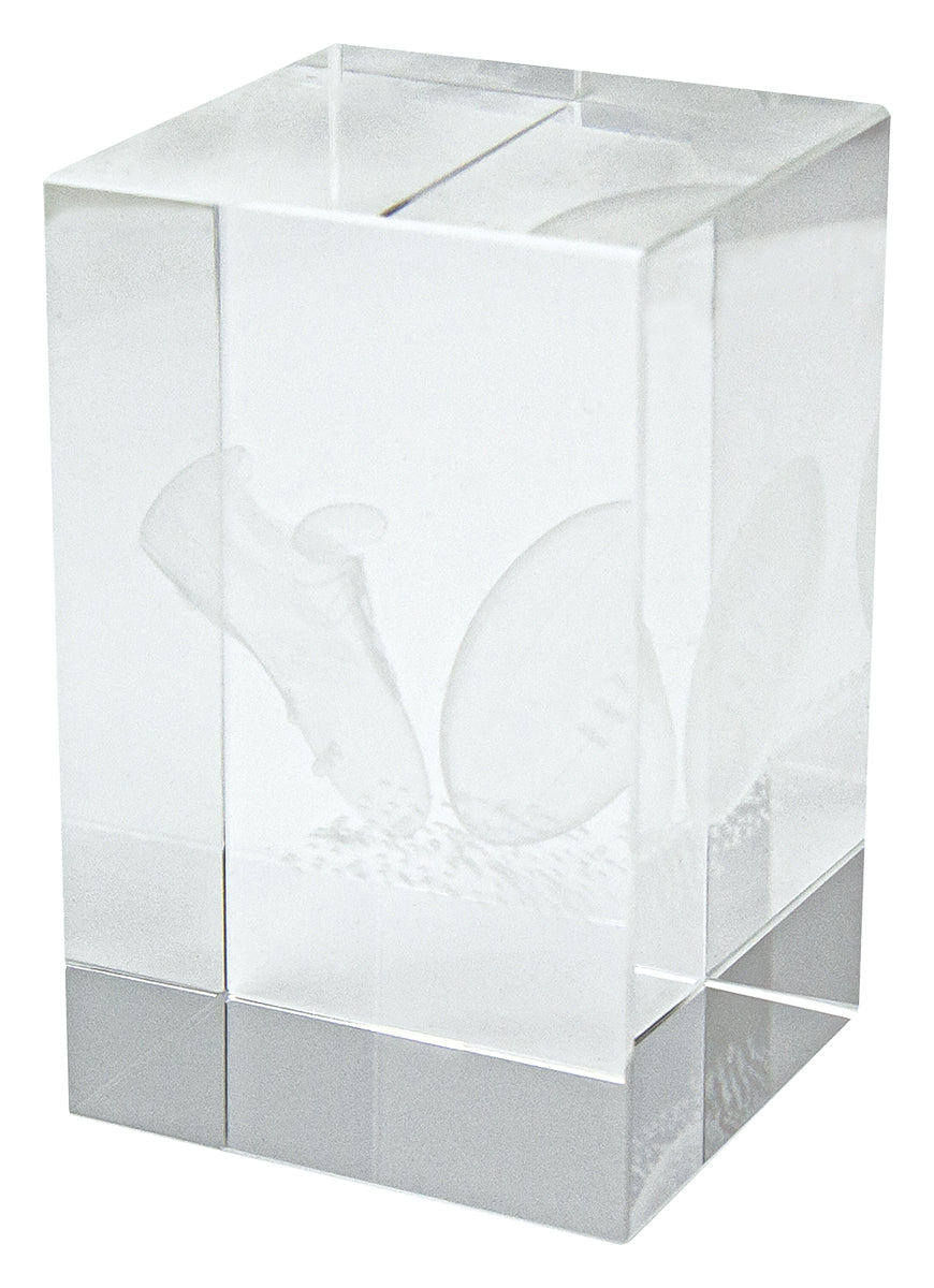 Crystal Block Award 80mm