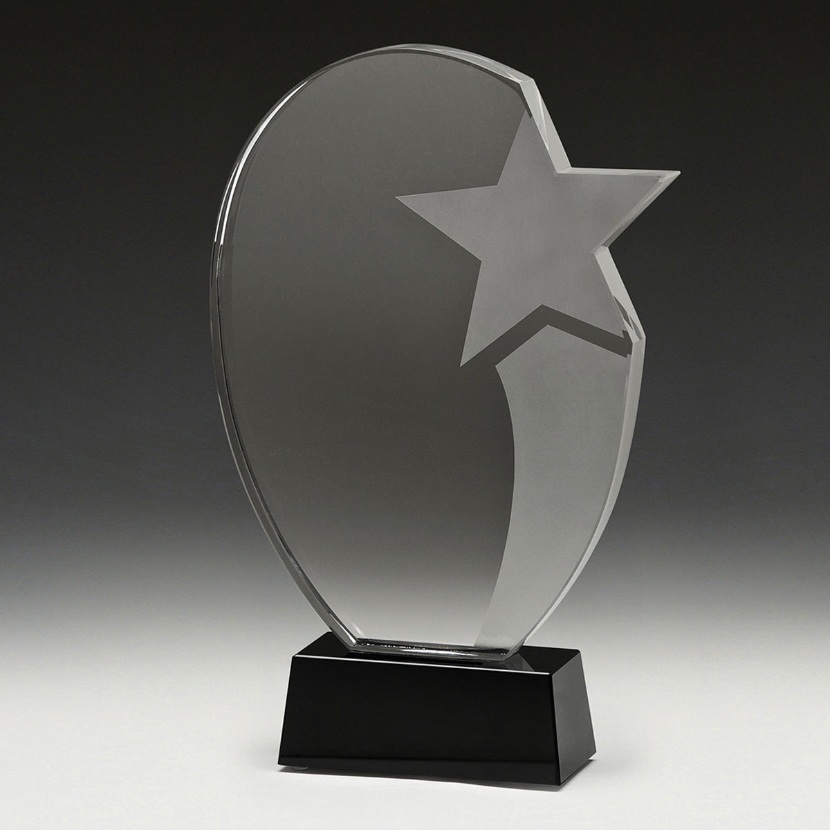 Recognition Star 260mm
