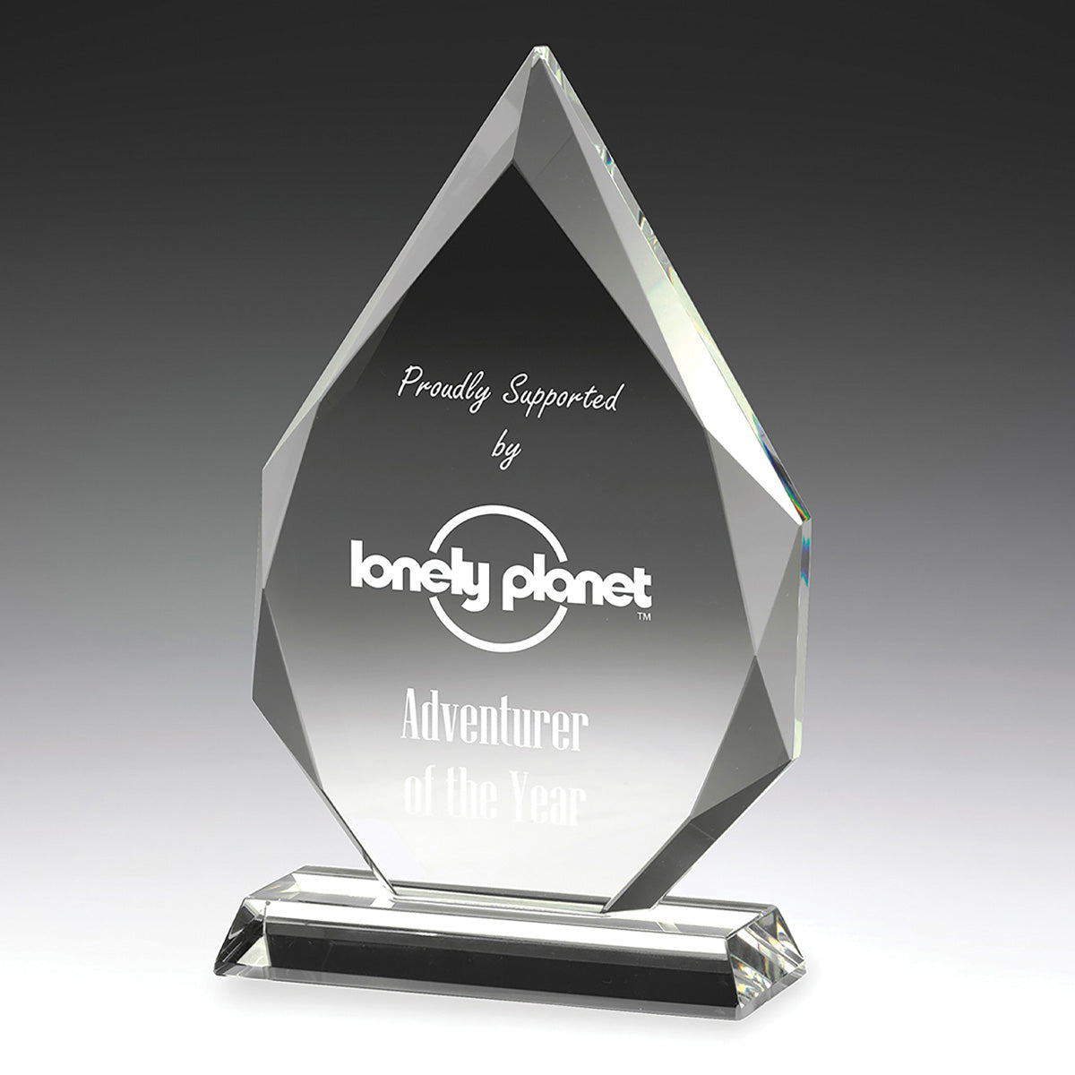 Arrowhead Recognition 170mm