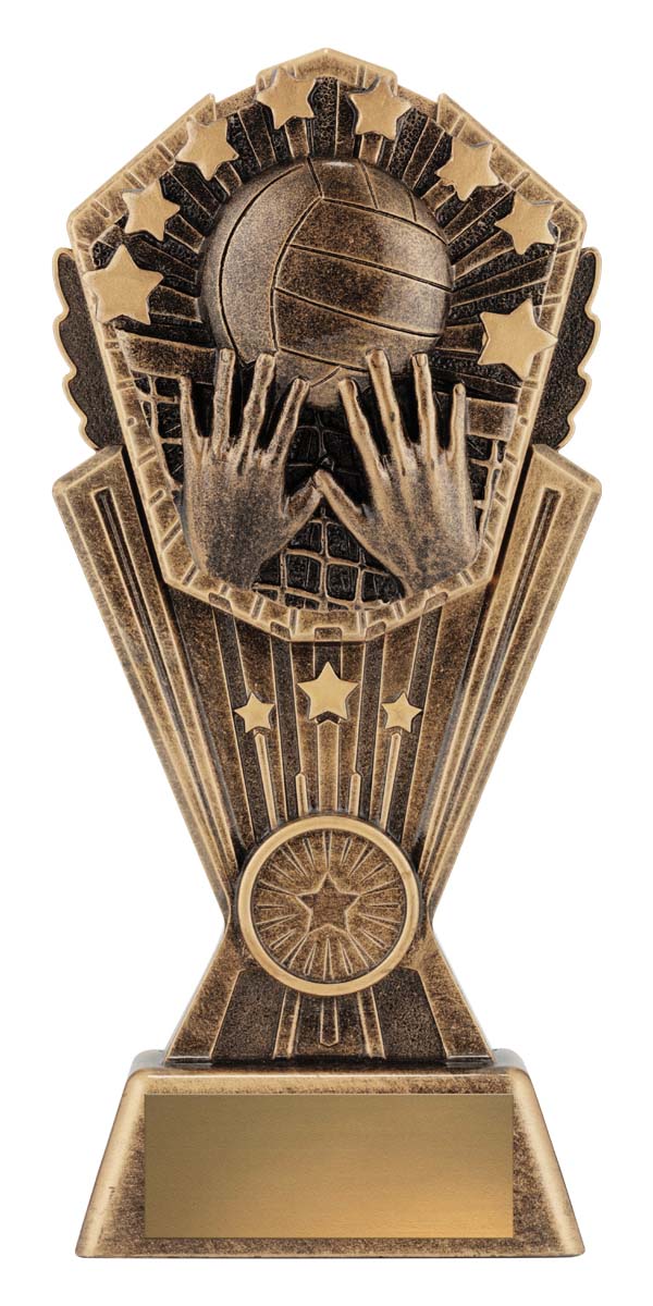 Cosmos - Volleyball 200mm