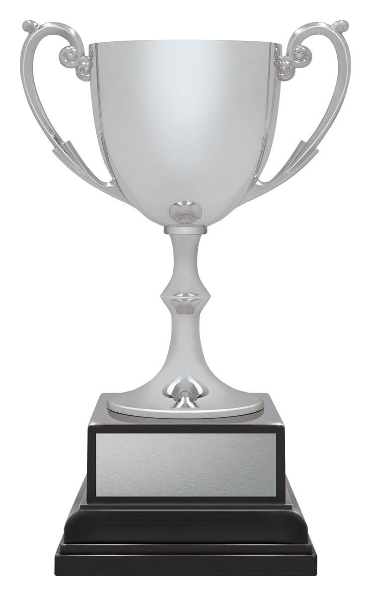 Ace Recognition Silver 145mm