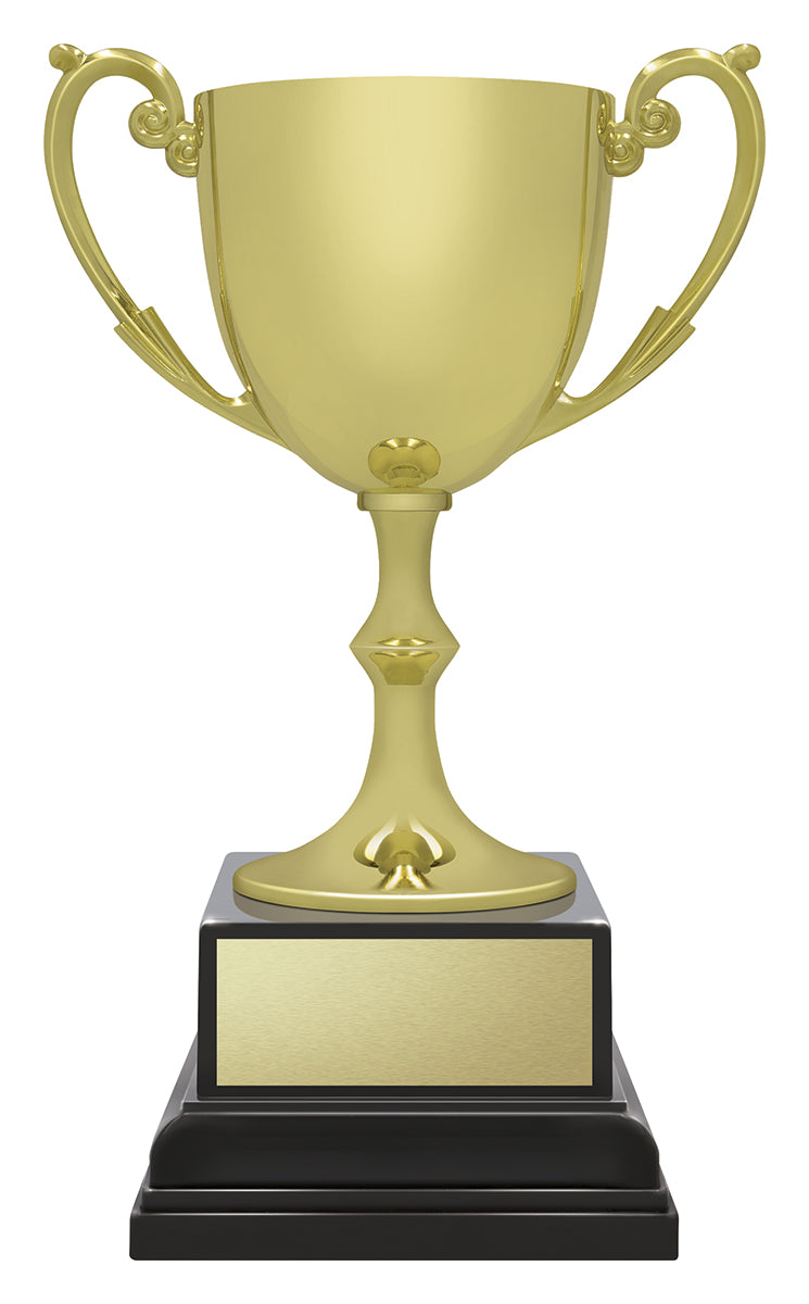 Ace Recognition Gold 185mm