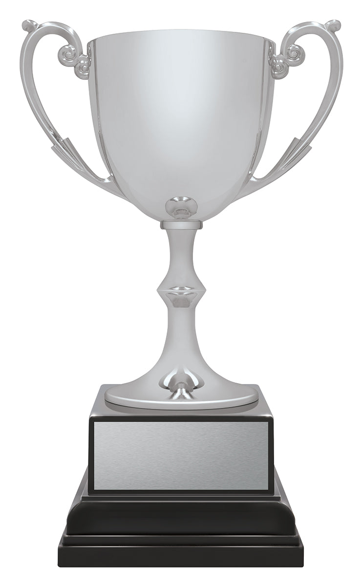 Ace Recognition Silver 215mm