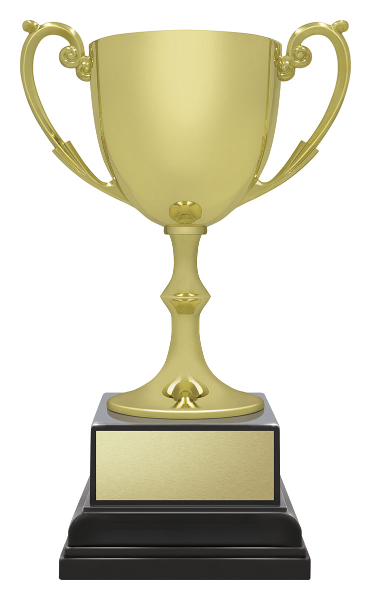 Ace Recognition Gold 215mm