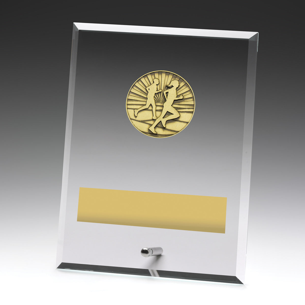 Glass Plaques - Cross Country 200mm
