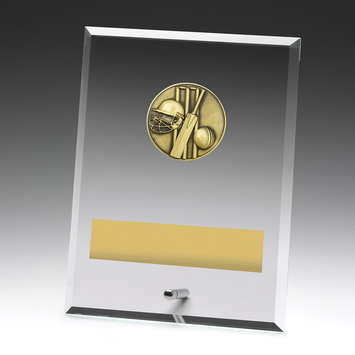 Glass Plaques - Cricket 200mm