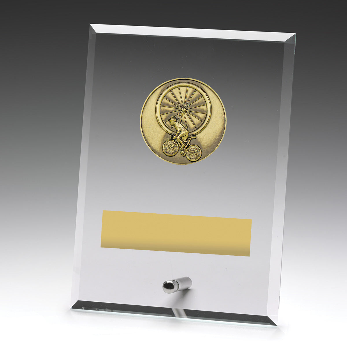 Glass Plaques - Cycling 175mm
