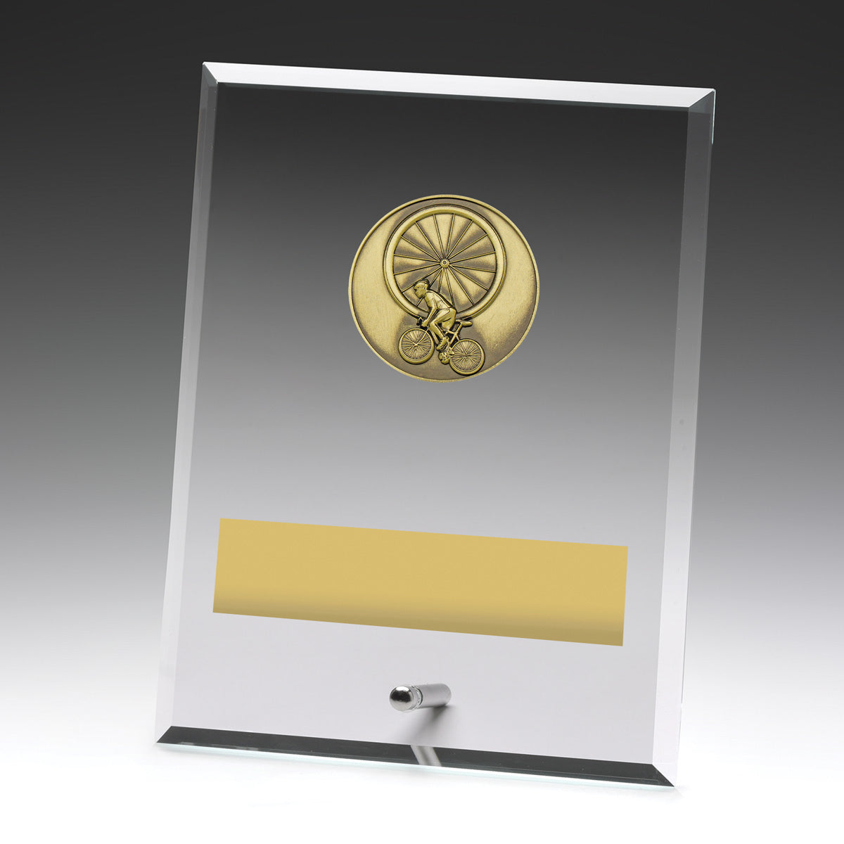 Glass Plaques - Cycling 200mm