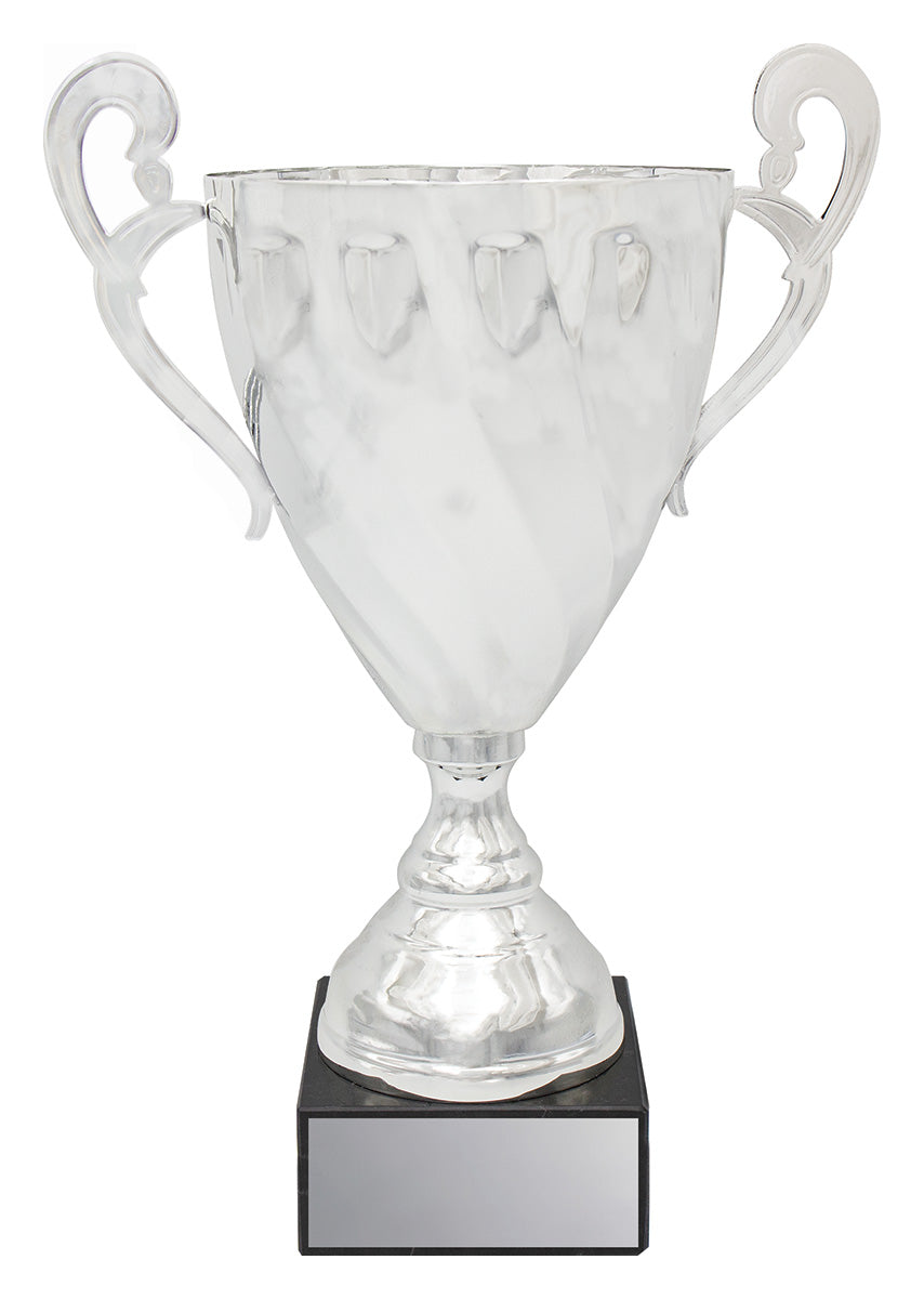Fidelity Cup - Silver 370mm