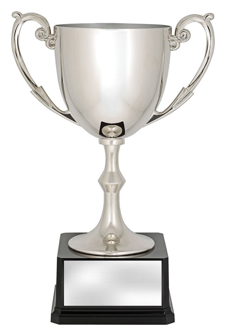 Recognition Cups 305mm