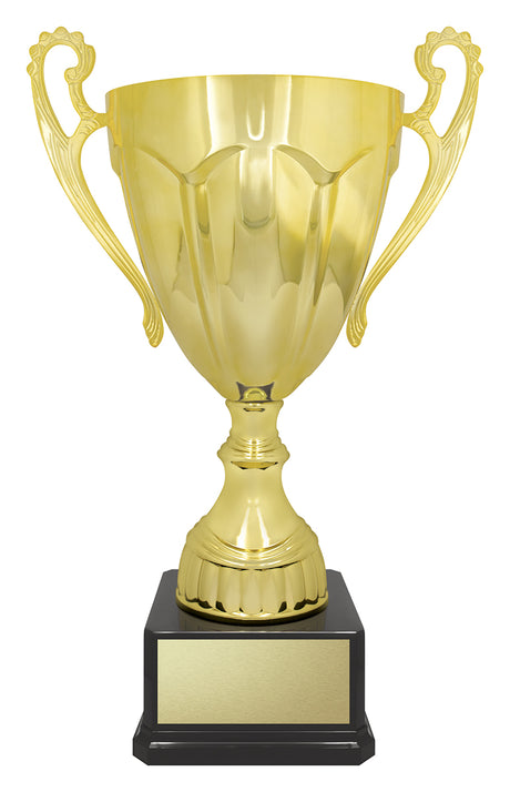 Rubicon Gold Cup 500mm