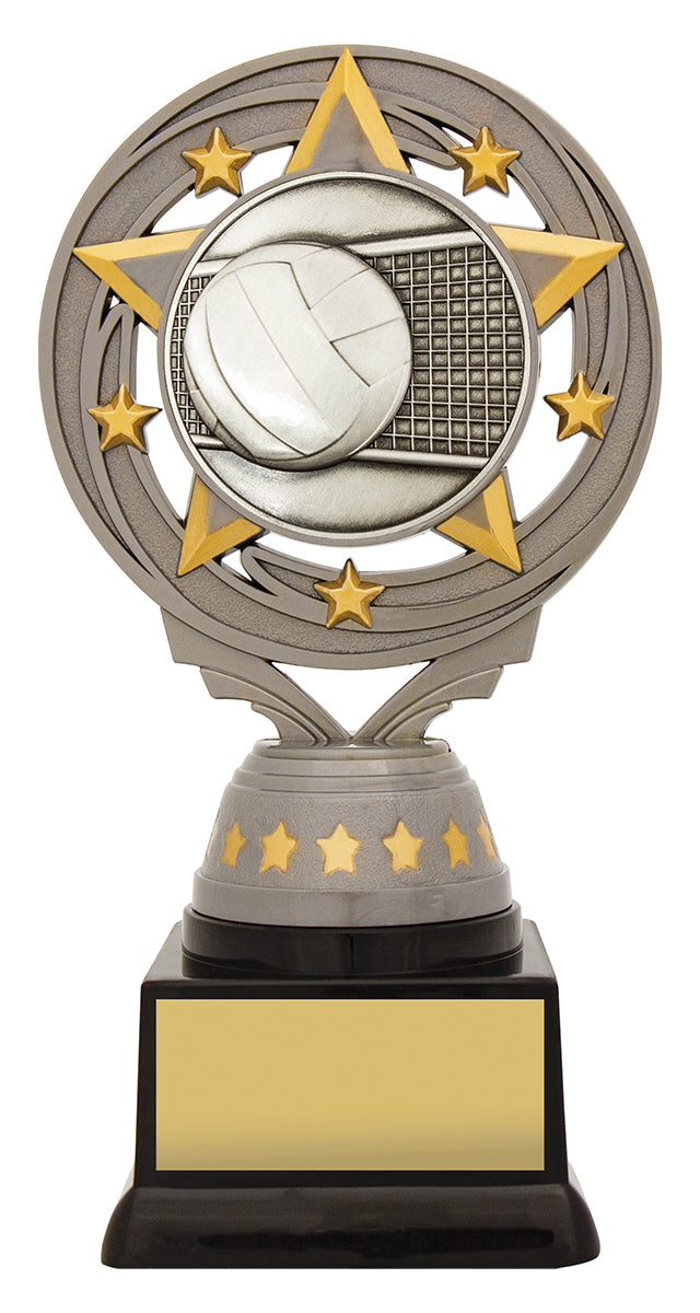 Silver Volleyball Torch 165mm