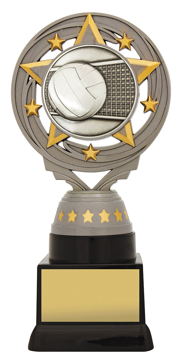 Silver Volleyball Torch 180mm