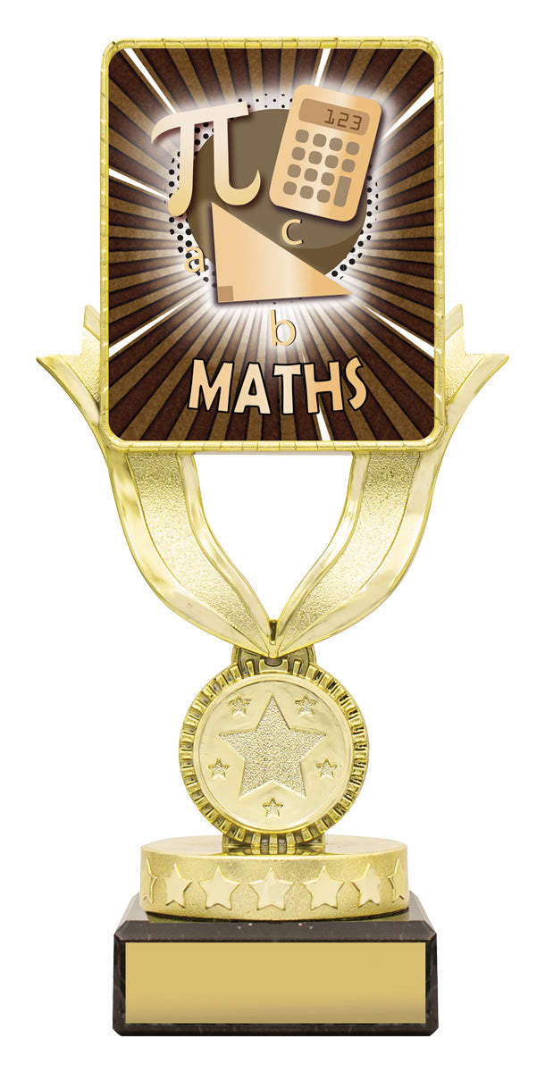 Lynx Sentry - Maths 175mm