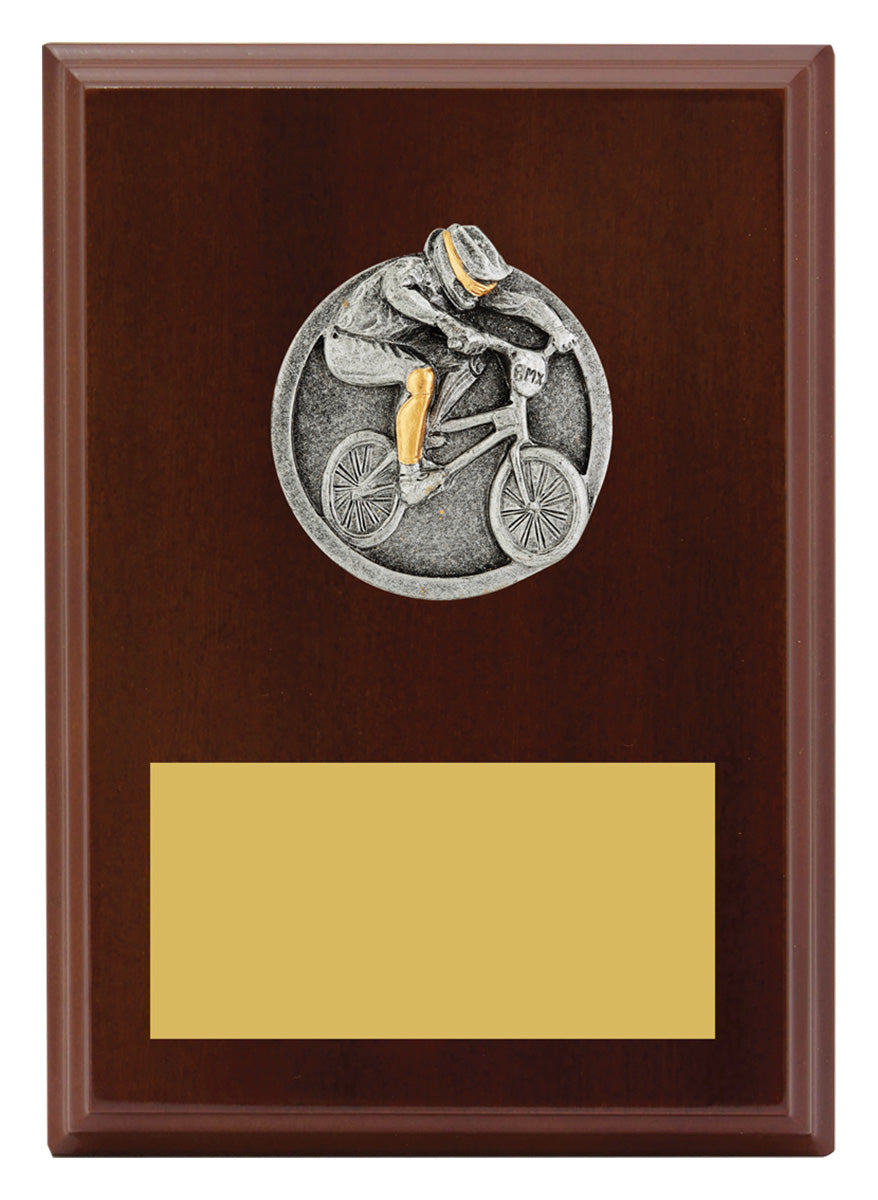 Peak Plaque BMX 175mm