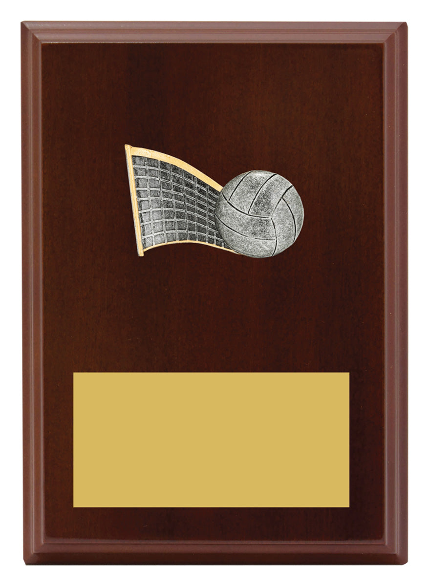 Plaque - Peak Volleyball 175mm