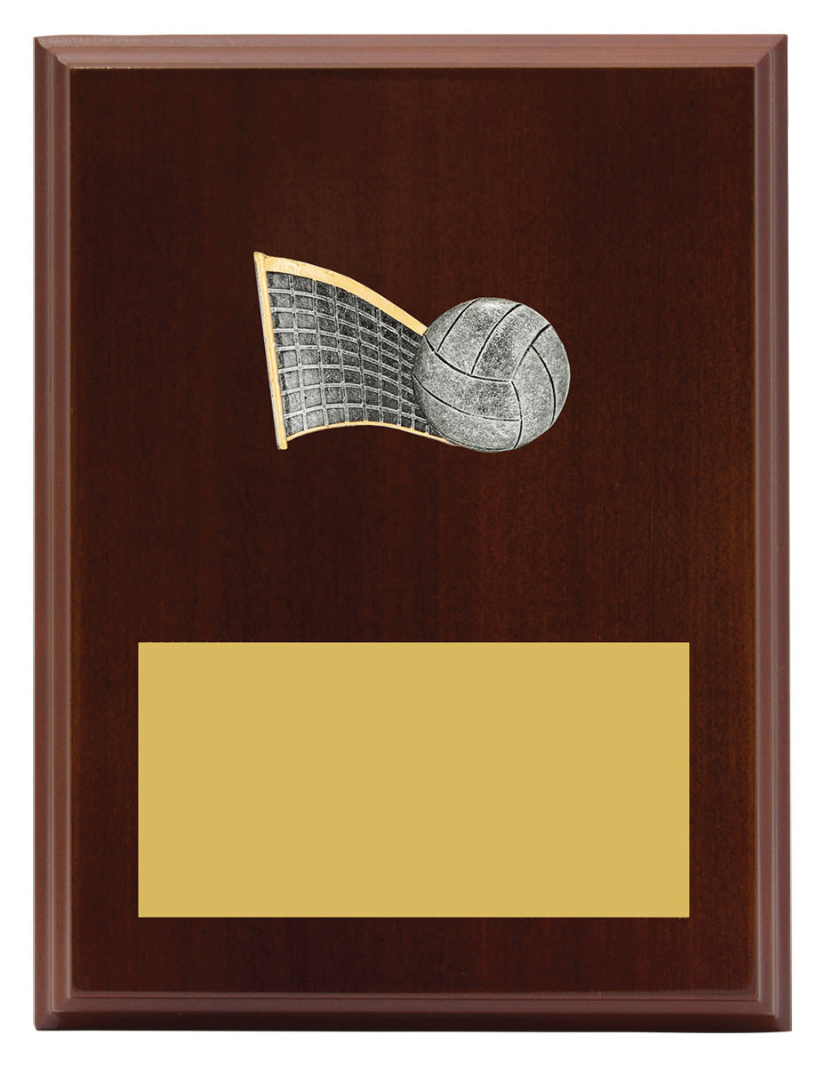 Plaque - Peak Volleyball 200mm