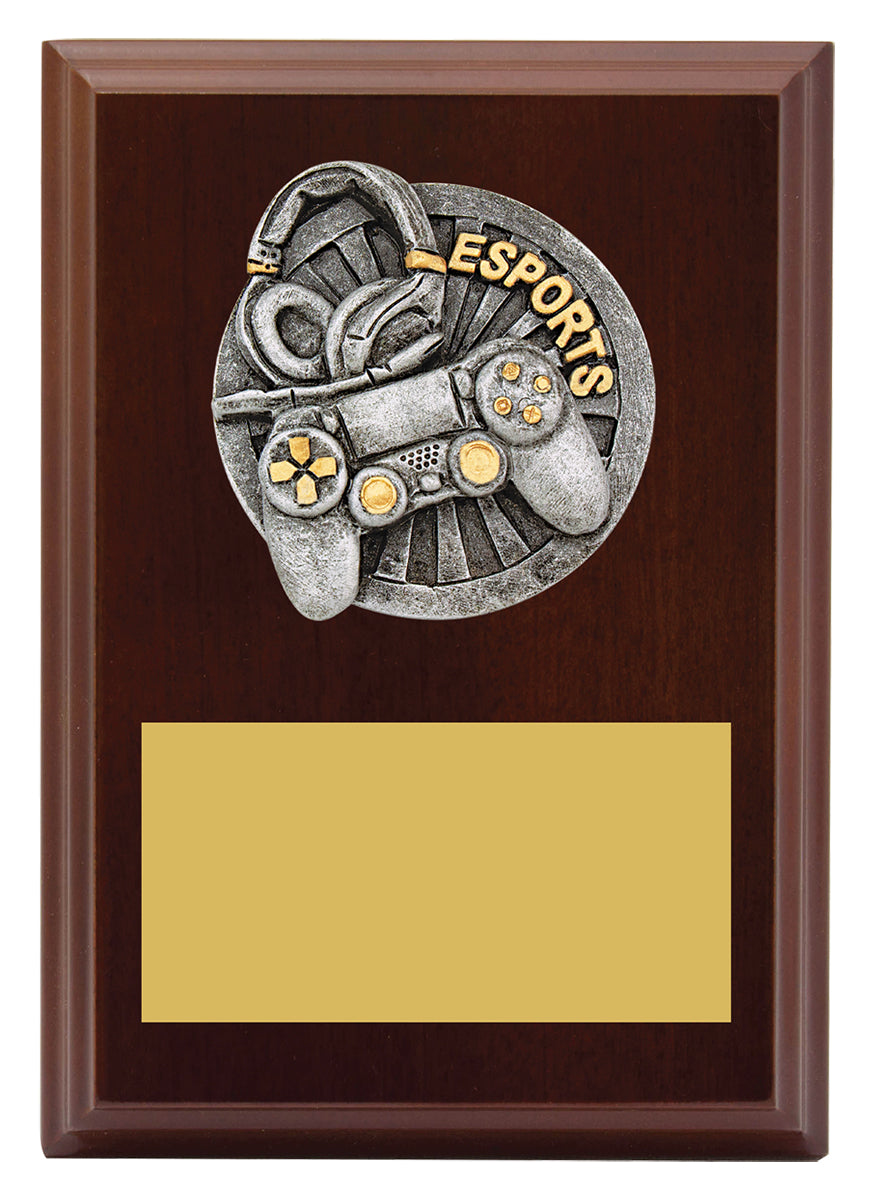 Peak Plaque Esports 150mm