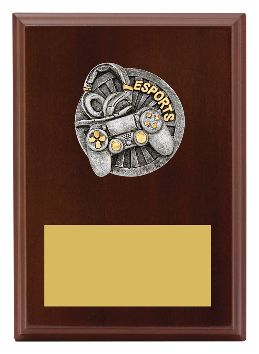 Peak Plaque Esports 175mm