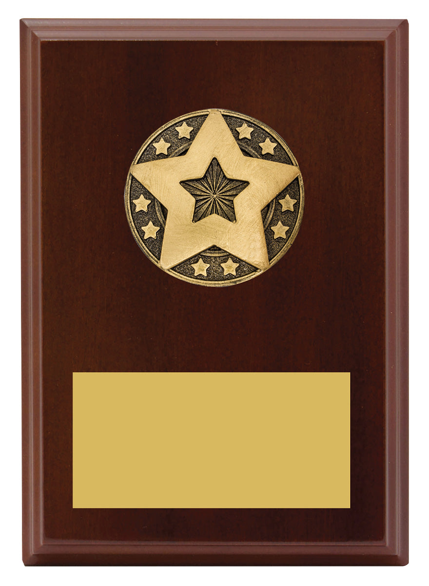 Star Award Plaque 175mm