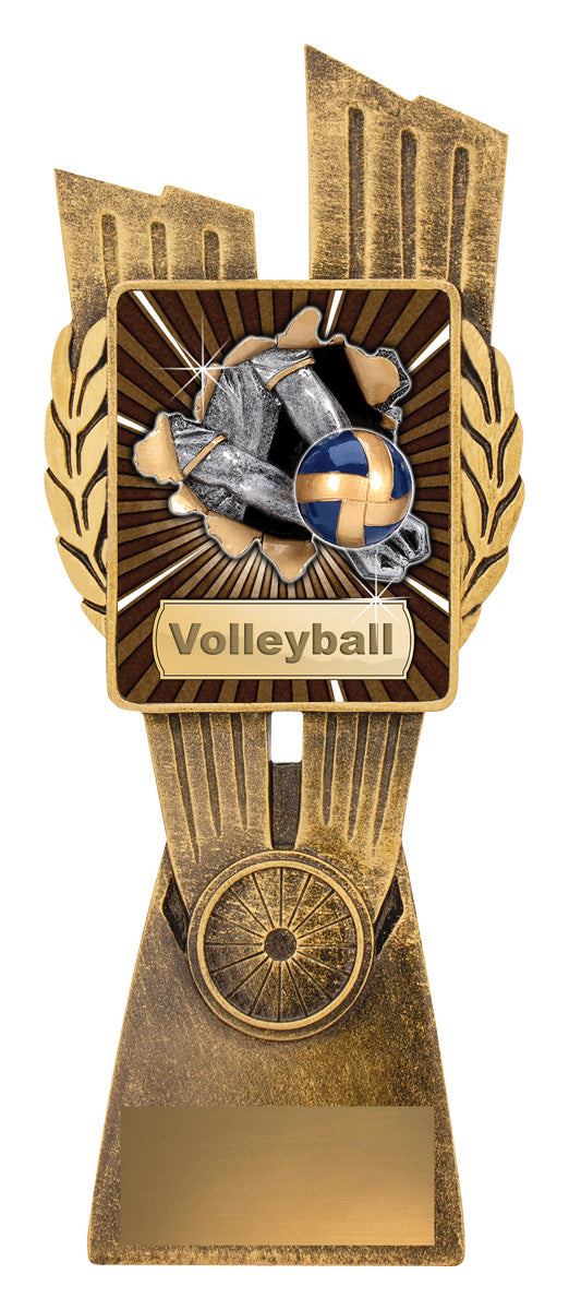 Antique Gold Lynx - Volleyball 210mm