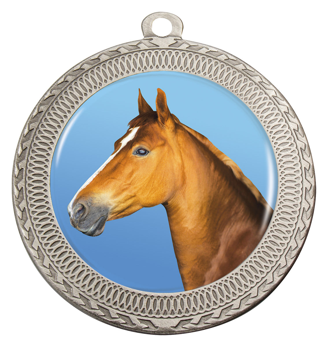 Ovation - Horse Silver
