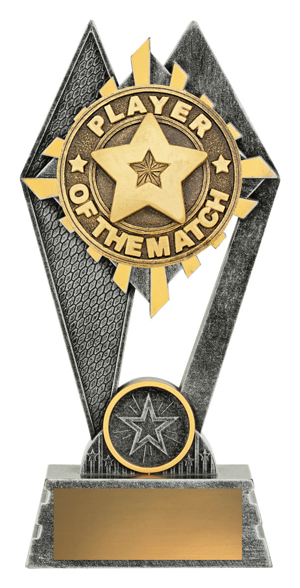 Peak - Player of the Match 180mm