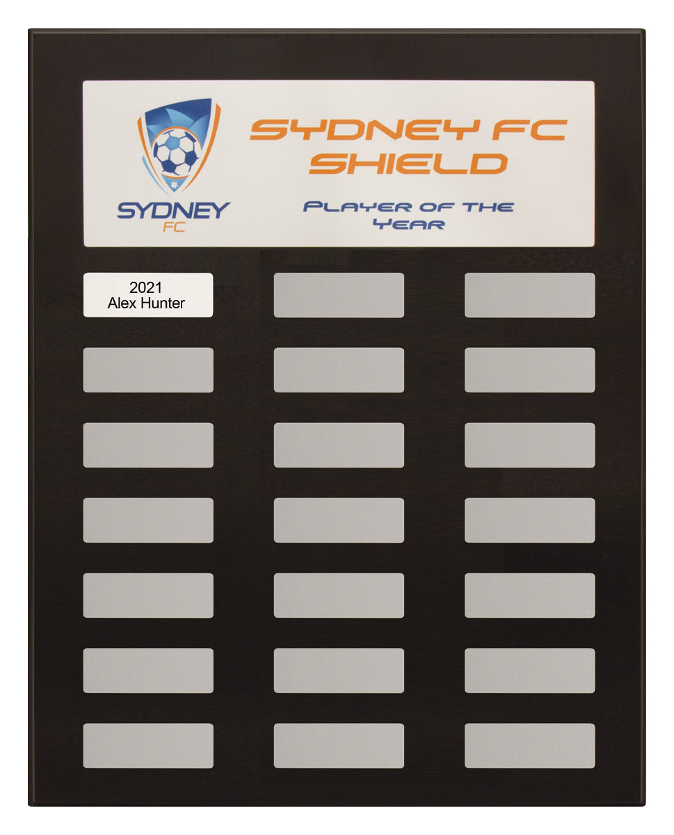 Colour Headline Plaque 380mm