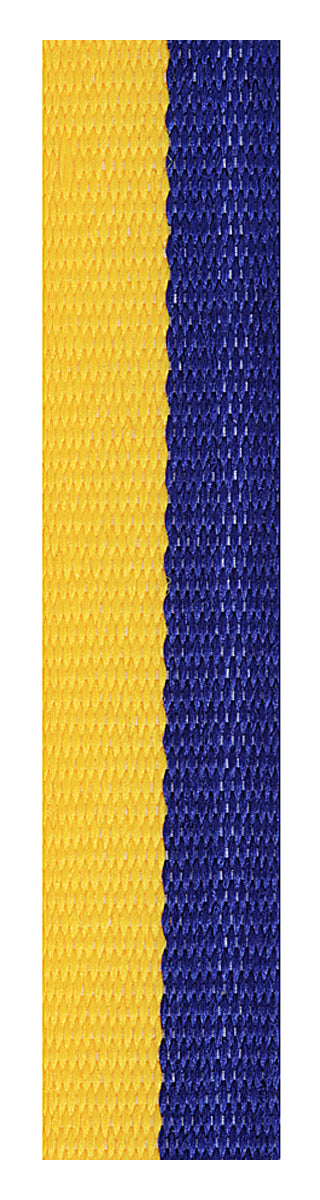 Blue / Gold Loop Ribbon 700 x 12mm