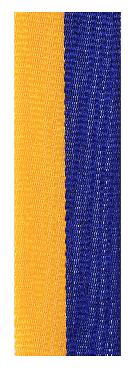 Blue / Gold Ribbon 800 x 23mm