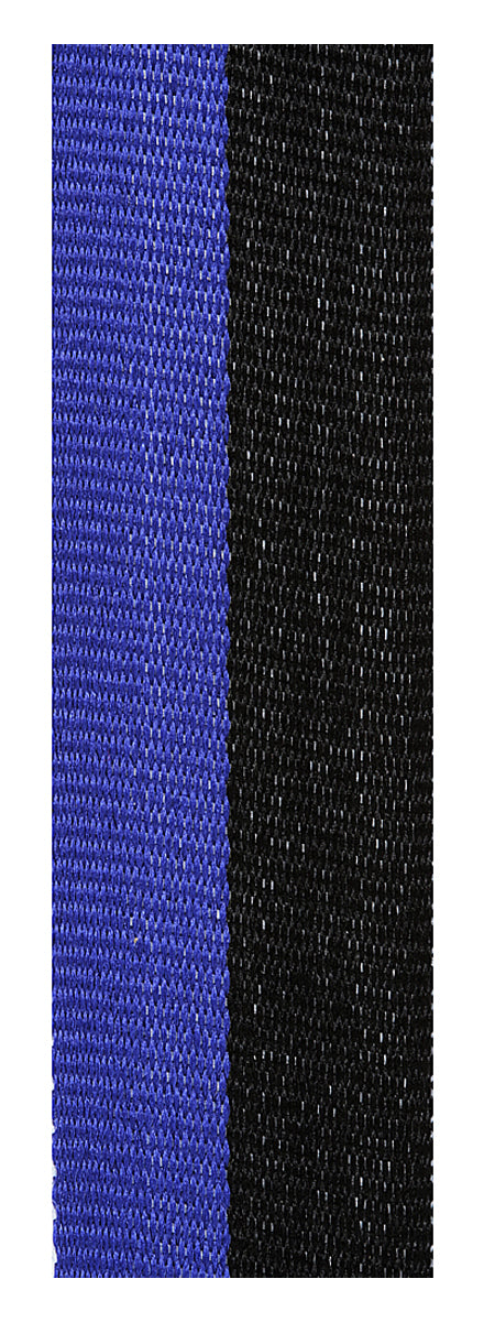 Black / Blue Ribbon 800 x 23mm