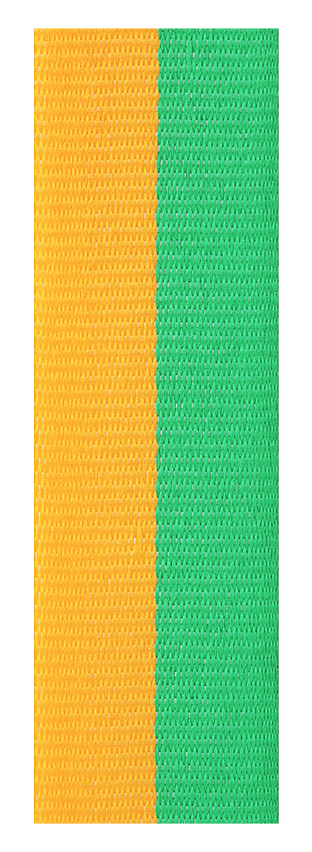 Green / Gold Ribbon 800 x 23mm