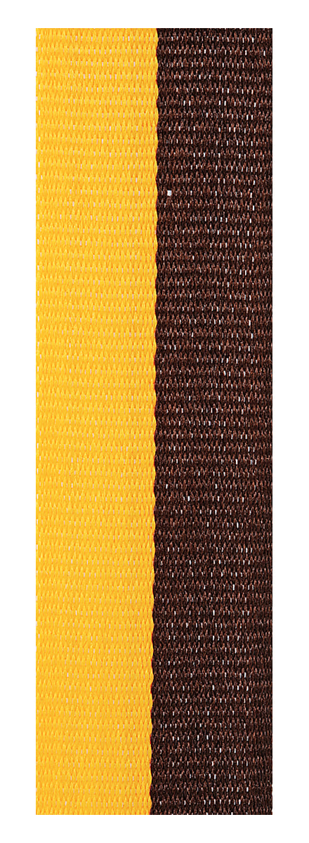 Brown / Gold Ribbon 800 x 23mm