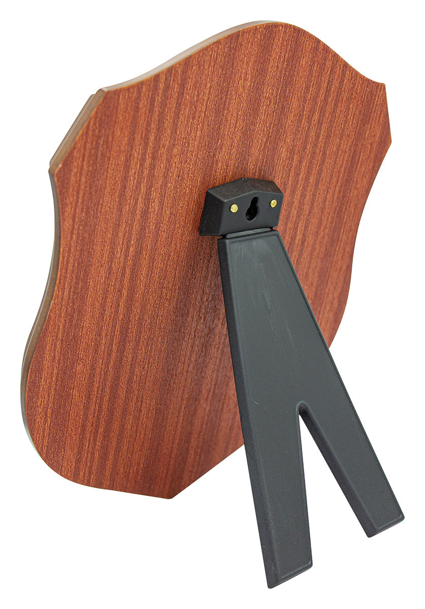 Engraved Shield Award 210mm