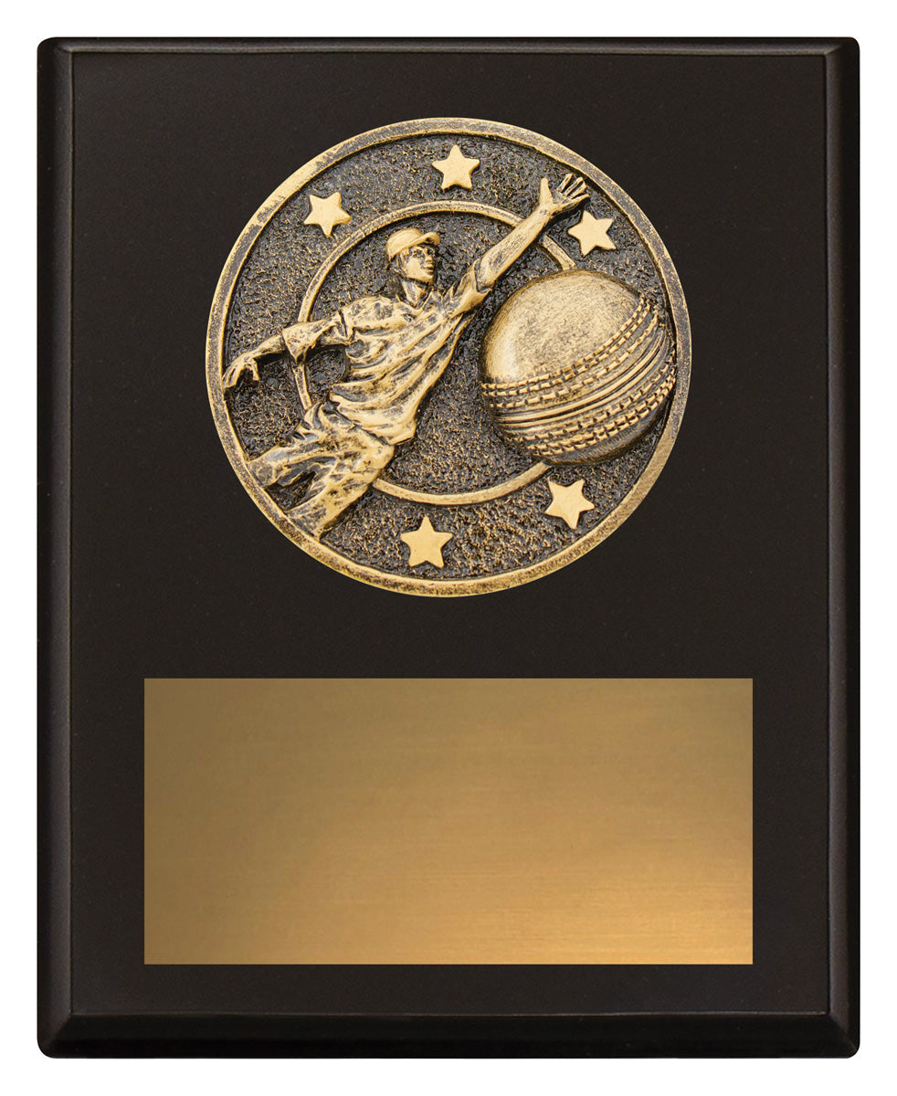 Challenge Plaque - Fielding 150mm