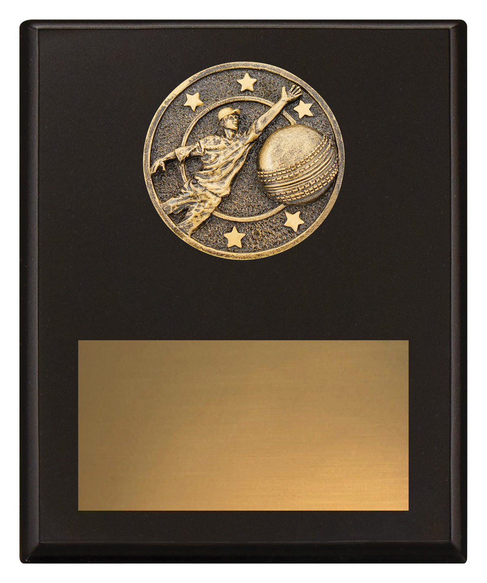 Challenge Plaque - Fielding 200mm