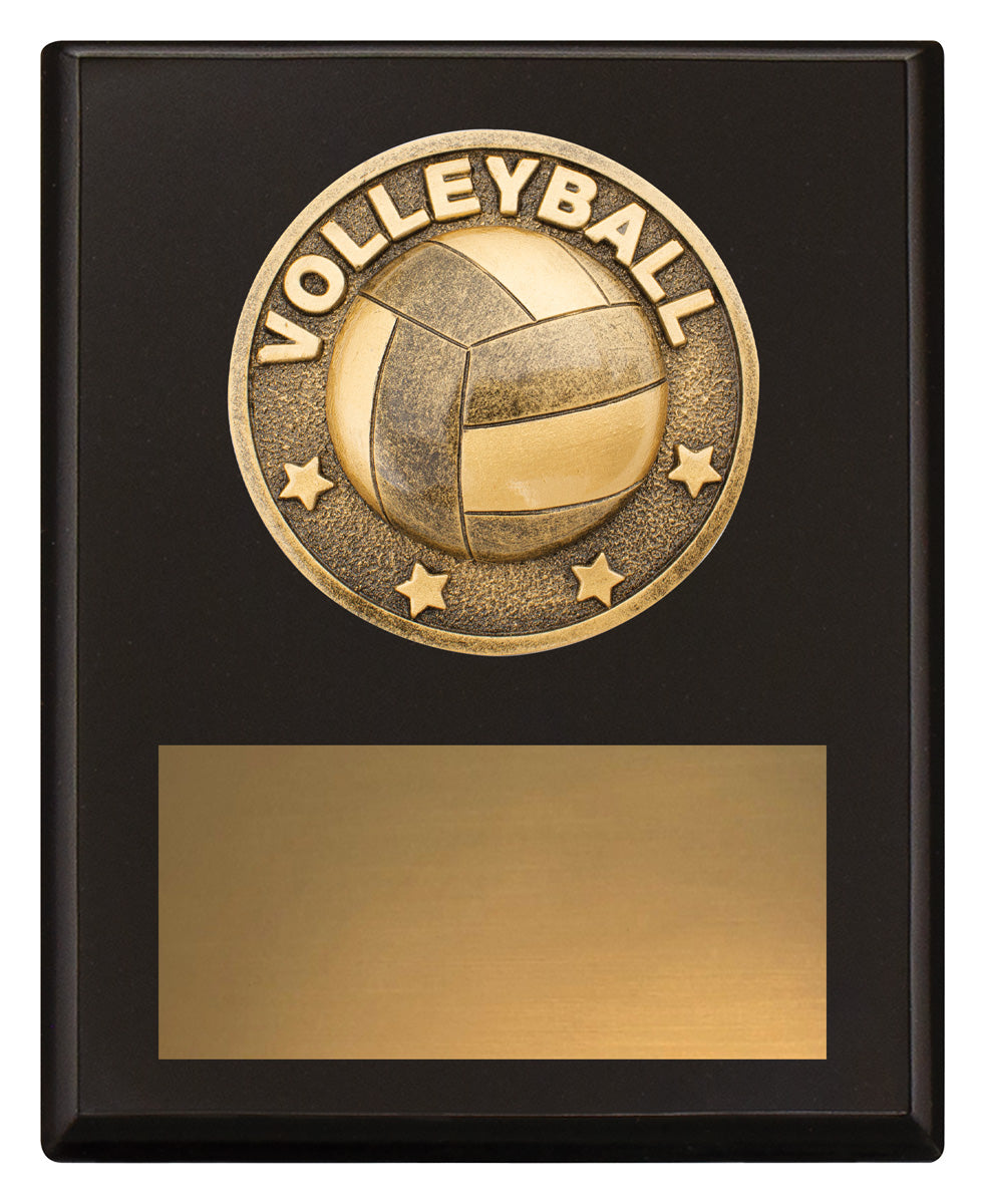 Challenge Plaque - Volleyball 150mm