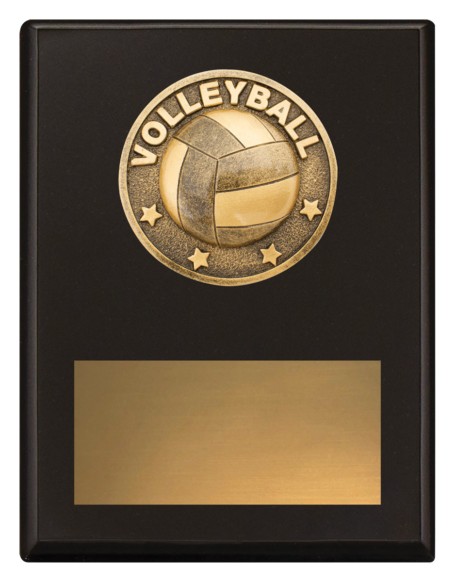 Challenge Plaque - Volleyball 175mm