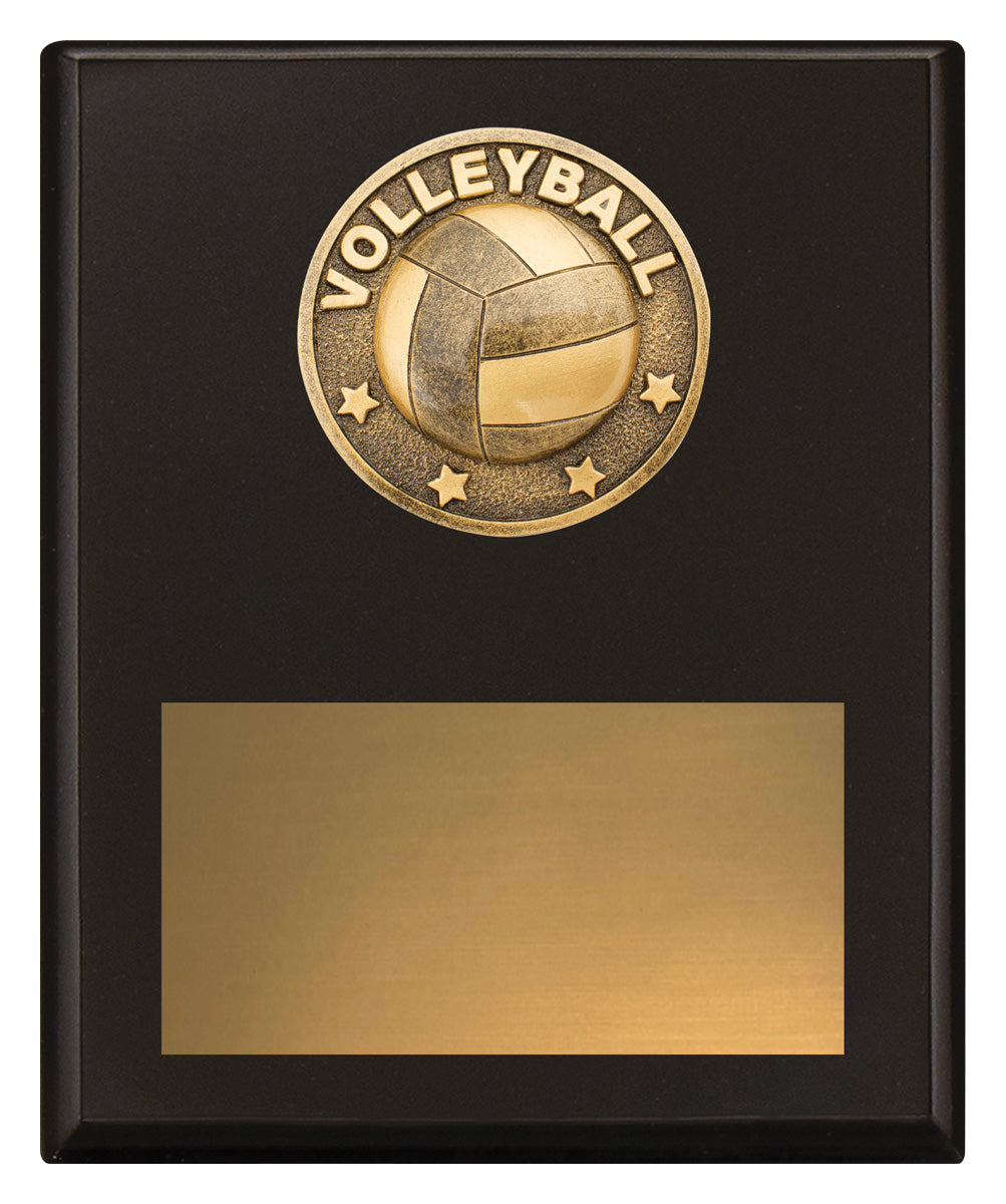 Challenge Plaque - Volleyball 200mm
