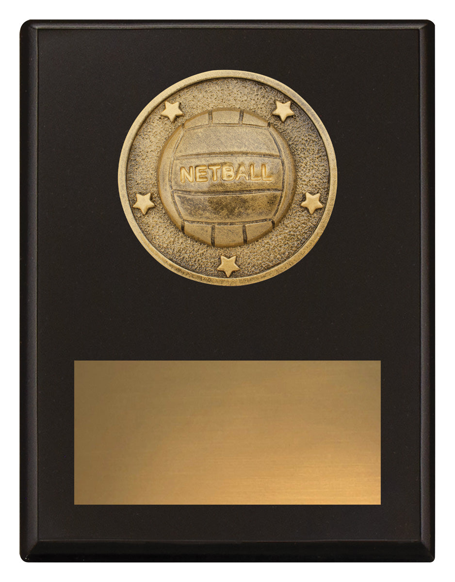 Challenge Plaque - Netball 175mm