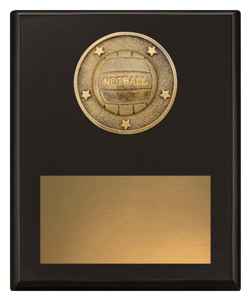 Challenge Plaque - Netball 200mm