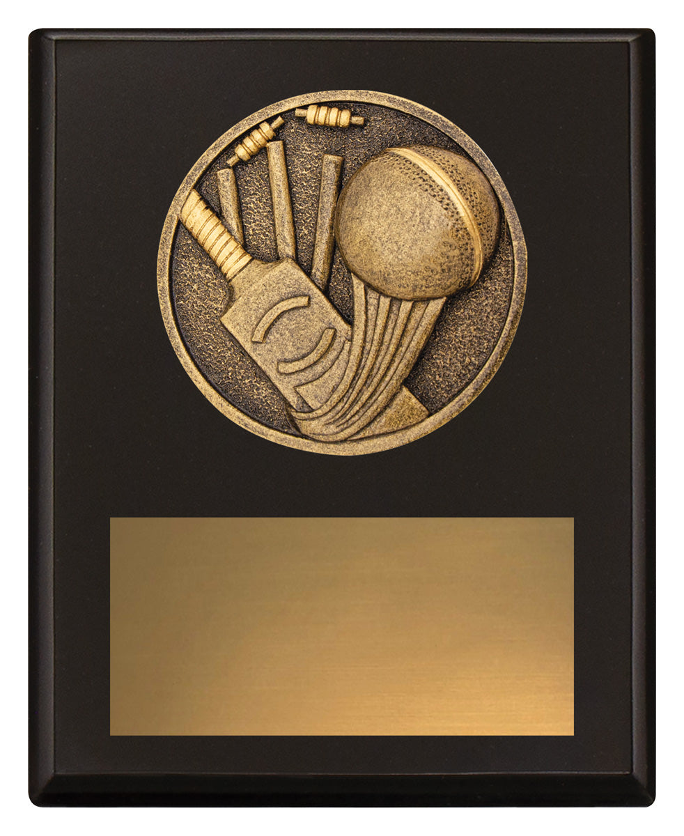 Challenge Plaque - Cricket 150mm
