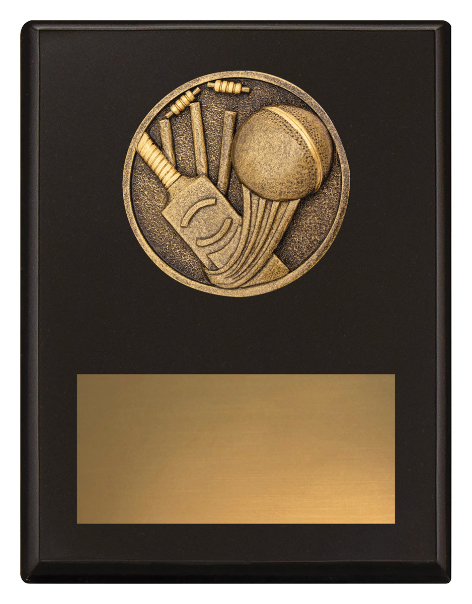 Challenge Plaque - Cricket 175mm