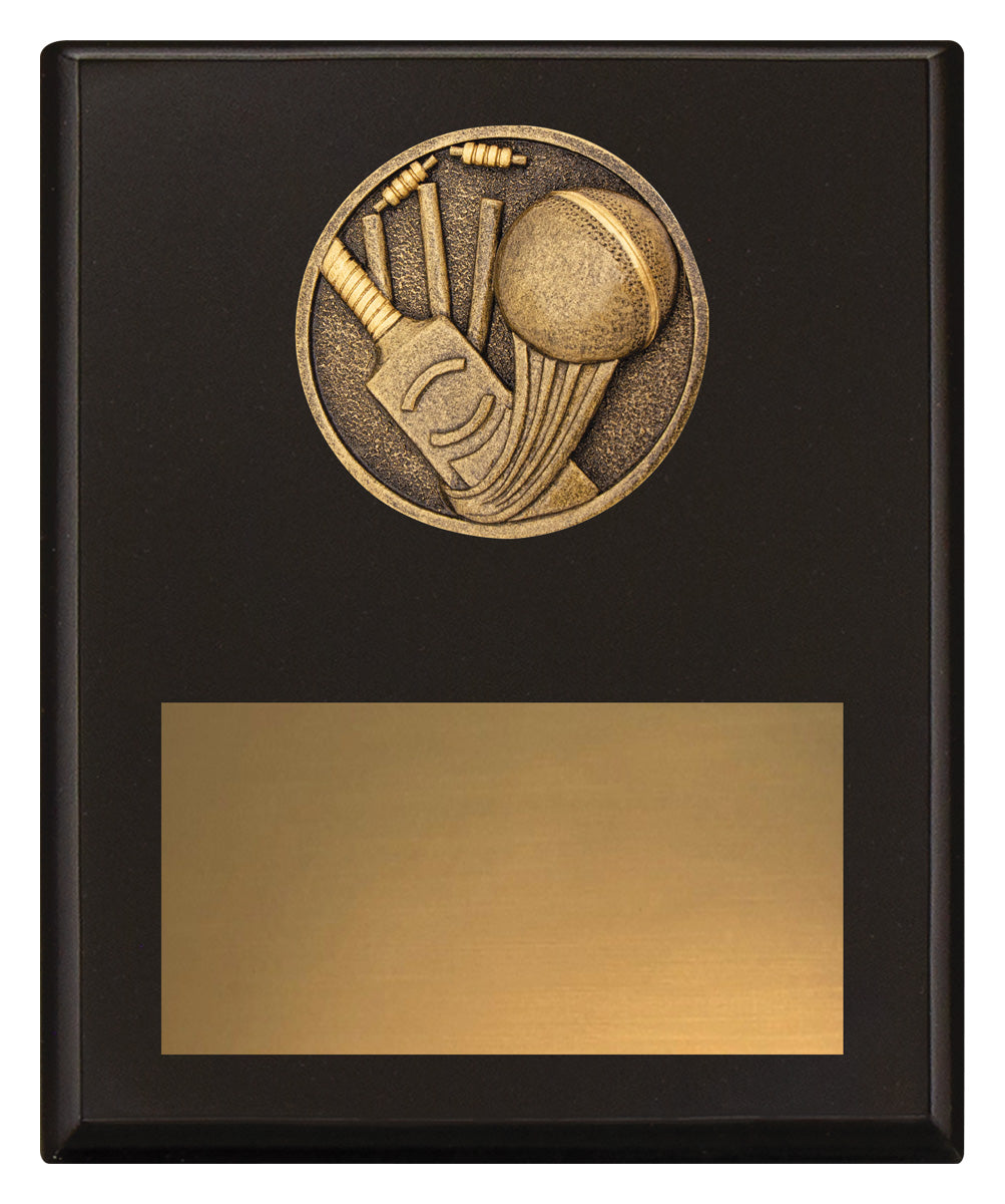 Challenge Plaque - Cricket 200mm