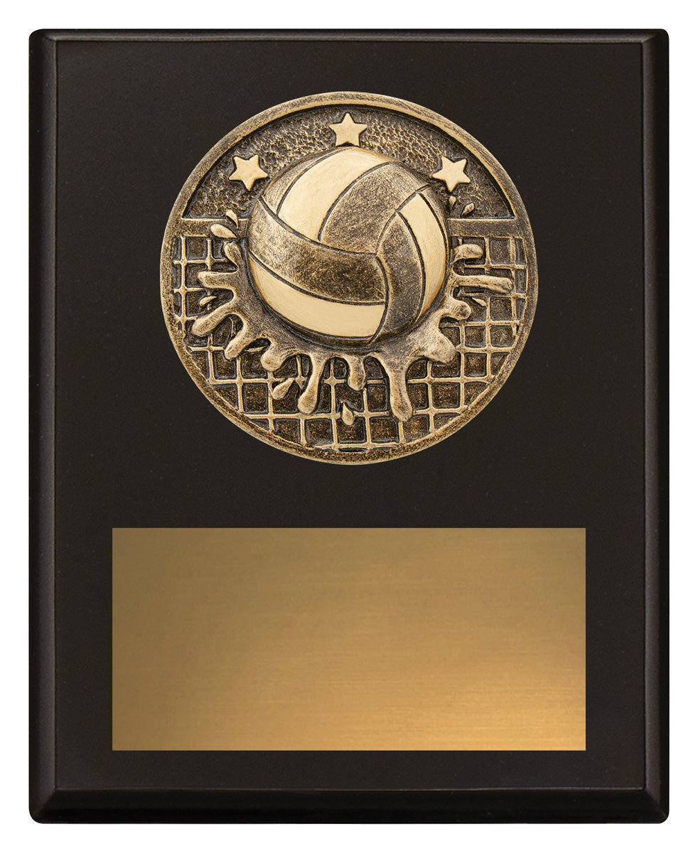 Challenge Plaque - Water Polo 150mm